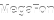 FSO_CARRIER_MegaFon.png