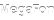 FSO_CARRIER_MegaFon.png