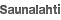 Default_CARRIER_Saunalahti.png