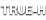 TS_CARRIER_TRUE-H_1only_.png